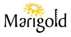 Marigold Group