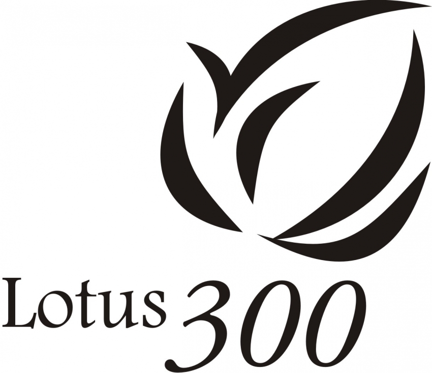 3C Lotus 300