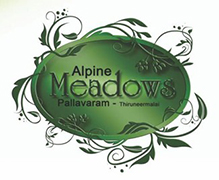 Alpine Meadows