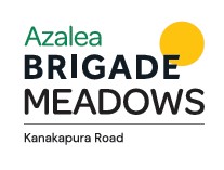 Azalea at Brigade Meadows