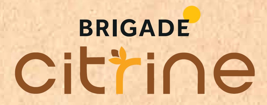 Brigade Citrine
