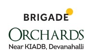 Deodar at Brigade Orchards