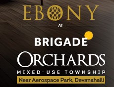 Ebony at Brigade Orchards