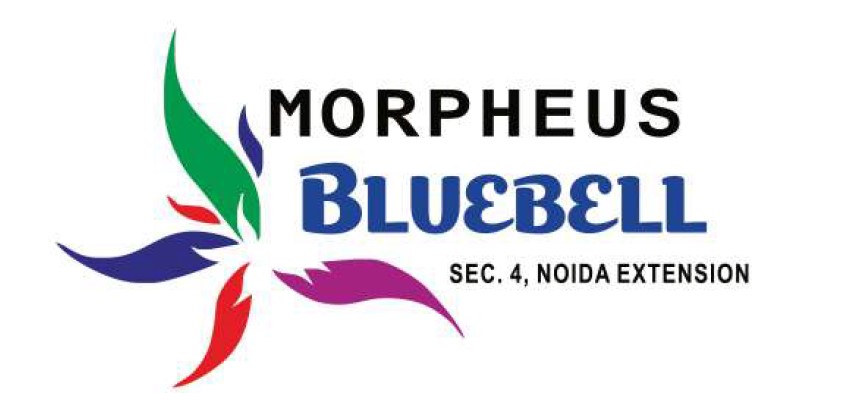 Morpheus Bluebell