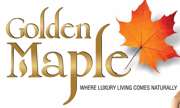 Parakh Golden Maple