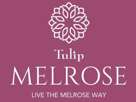 Tulip Melrose