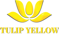 Tulip Yellow