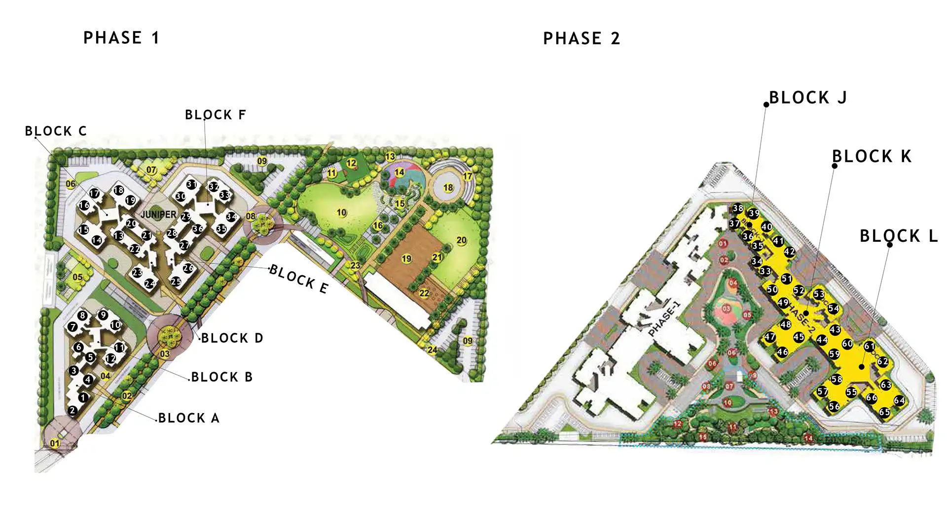 Ivory At Brigade Orchards